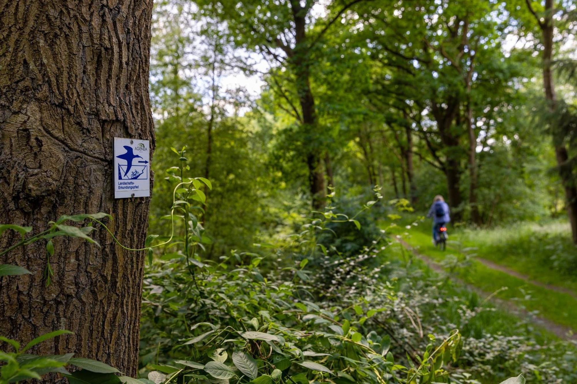 Ferienhaus Liegeplatz Dangast Zewnętrze zdjęcie
